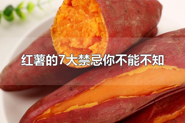 红薯的7大禁忌你不能不知 红薯发芽了还能吃吗
