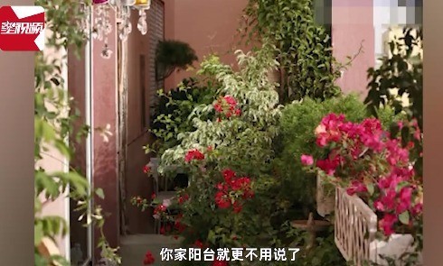 就喜欢花花草草！中科院博士解释中国人为何爱种菜