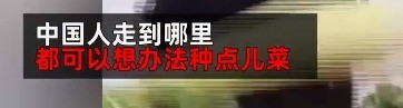 就喜欢花花草草！中科院博士解释中国人为何爱种菜