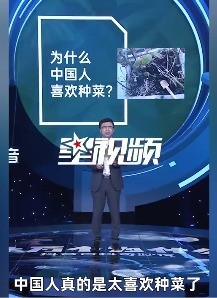 就喜欢花花草草！中科院博士解释中国人为何爱种菜