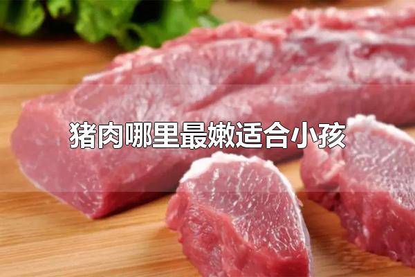 猪肉哪里最嫩适合小孩 如何挑选猪里脊肉