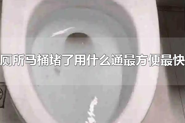厕所马桶堵了用什么通最方便最快 疏通马桶的方法