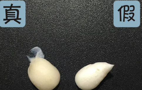 雅诗兰黛红石榴洗面奶真假对比图解 看包装盒管身瓶盖