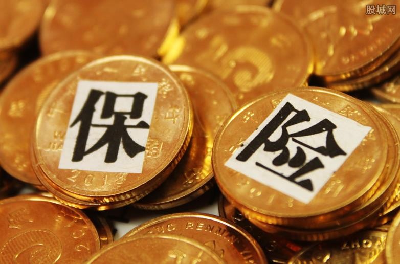 保险保单