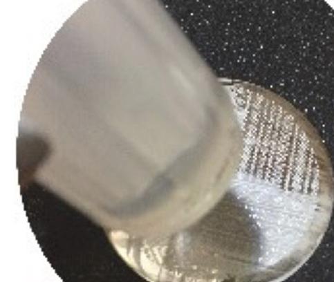 雪花渐变美甲教程 很适合秋冬的一款应季美甲