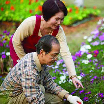 老年人如何养生 老年人养生的六大乐趣