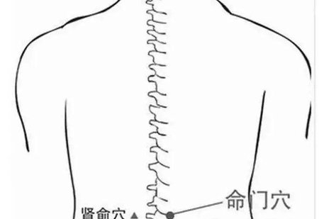 女人坚持每天按摩4部位 肾脏会越来越健康