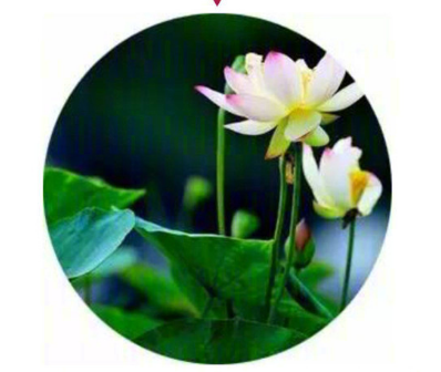 不同体质的不同处理方法 如何调养呢？