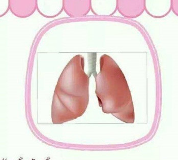 你的器官需要打扫了吗？一起看看注意些什么吧！