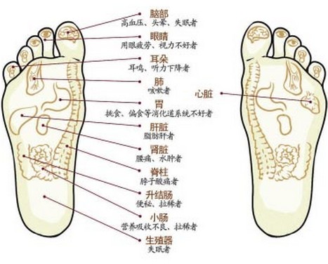 脚底穴位图 脚底按摩的功能