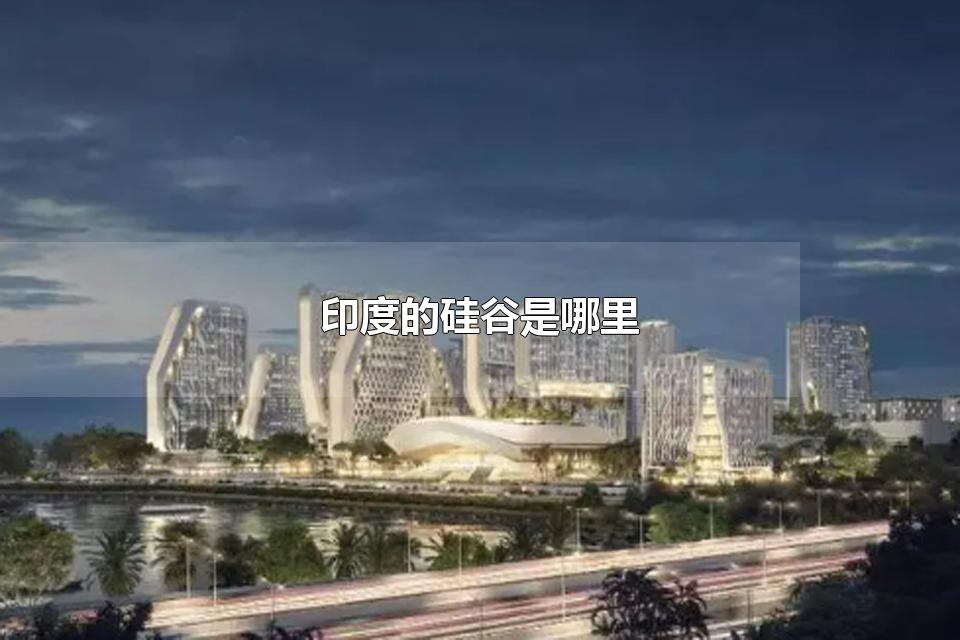 印度的硅谷是哪里 硅谷公司是做什么的