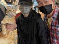 郑秀文许志安罕见同框 路人镜头下与猫咪有爱互动