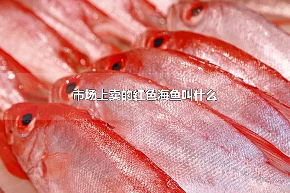 市场上卖的红色海鱼叫什么 红目鲢是海鱼吗