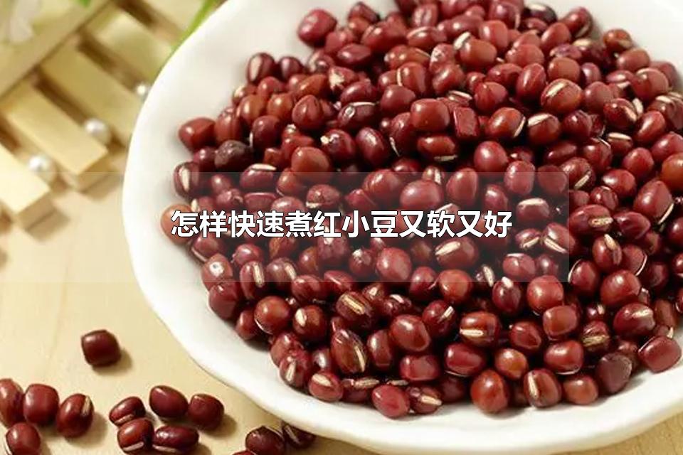 怎样快速煮红小豆又软又好 红小豆可以和什么搭配一起煮