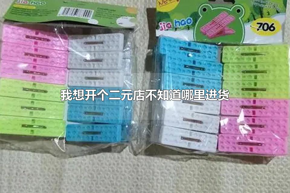 我想开个二元店不知道哪里进货 二元店的品牌类型是什么