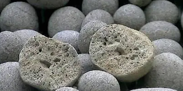 花盆里的陶粒有什么用 陶粒放在花盆的哪里最好