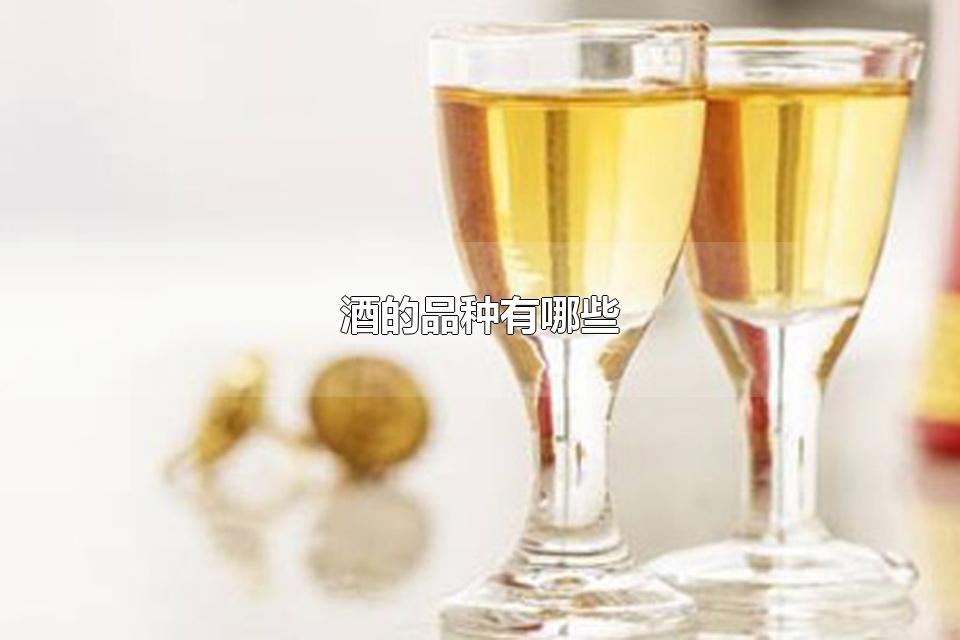 酒的品种有哪些 酒的香型有哪些