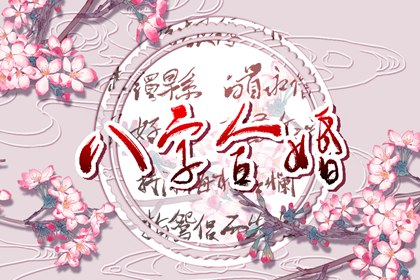 八字合婚  庚戌日柱婚配 癸亥辛亥日柱