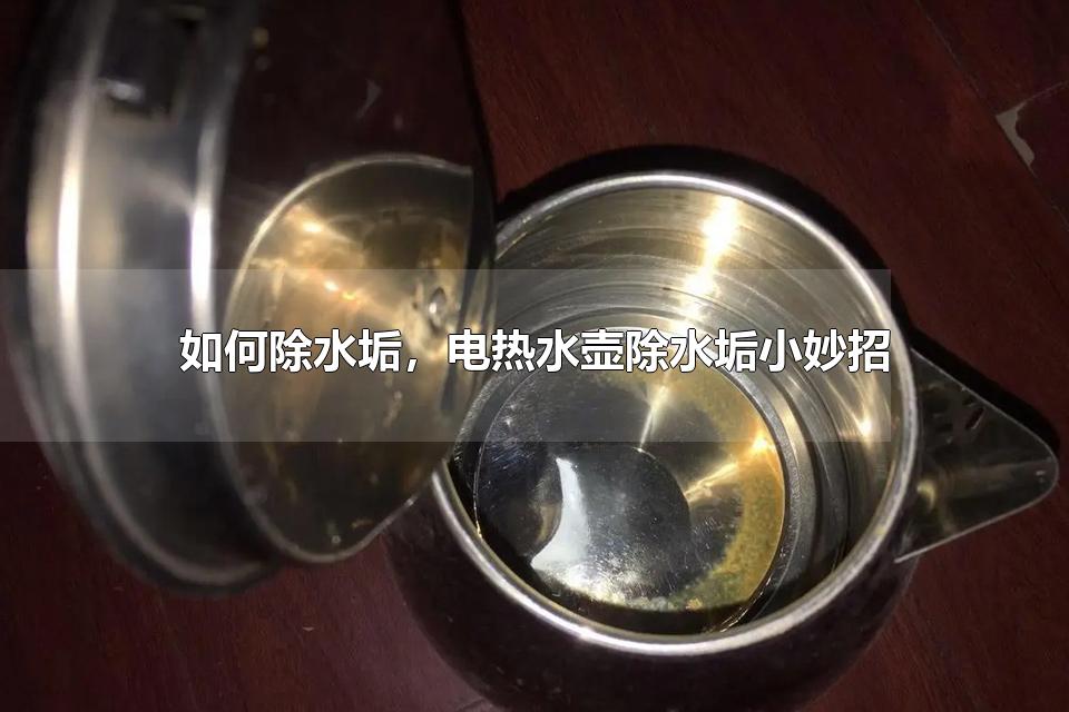 如何除水垢，电热水壶除水垢小妙招 水垢对人体有害吗