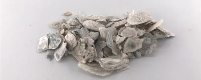 煅牡蛎怎么煎 煅牡蛎如何煎