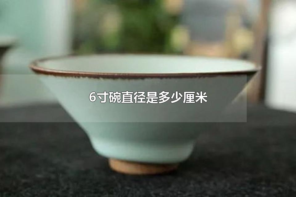 6寸碗直径是多少厘米 6寸碗能装多少毫升水