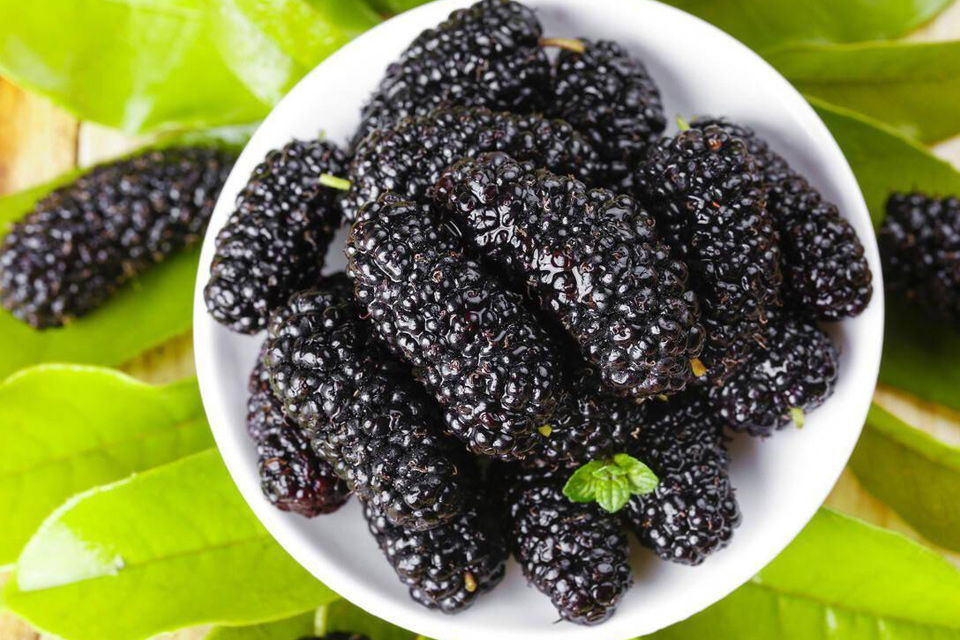 桑葚里像芝麻一样的是虫卵吗 桑葚里像芝麻一样东西可以吃吗