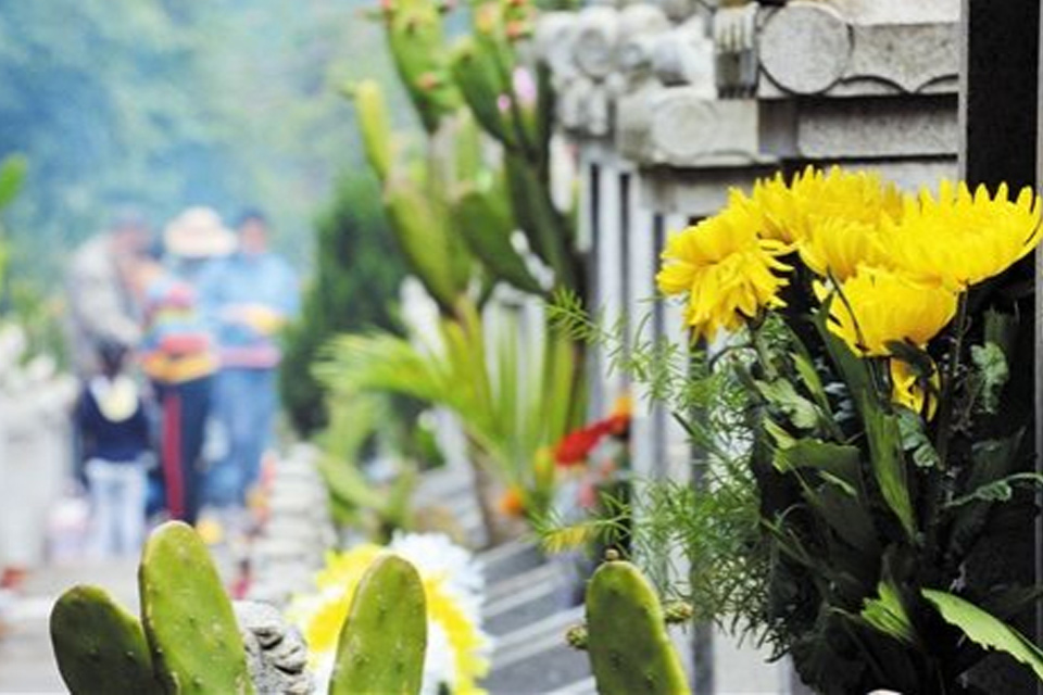 清明节文明祭扫相关内容 清明文明祭祀宣传标语