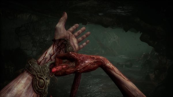 恐怖冒险《蔑视》Steam开启预购 特惠125元，带简中