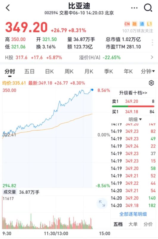 5月新能源销量：“一枝独秀”并不是件好事