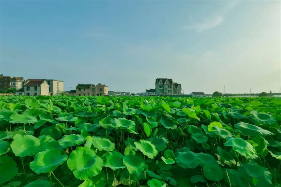 夏天天气一般是多少度 夏天最热是多少度