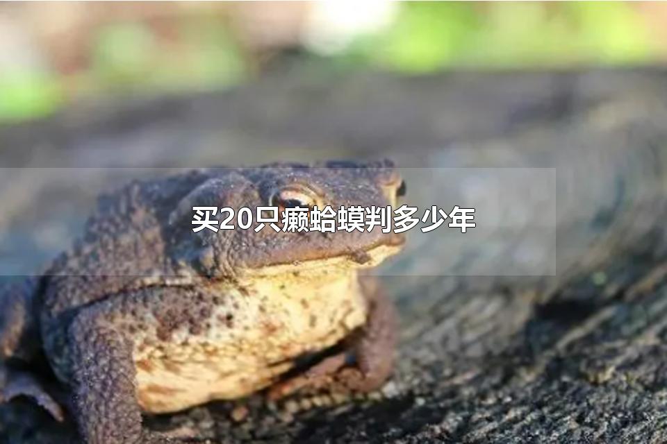 买20只癞蛤蟆判多少年 为什么买癞蛤蟆违法