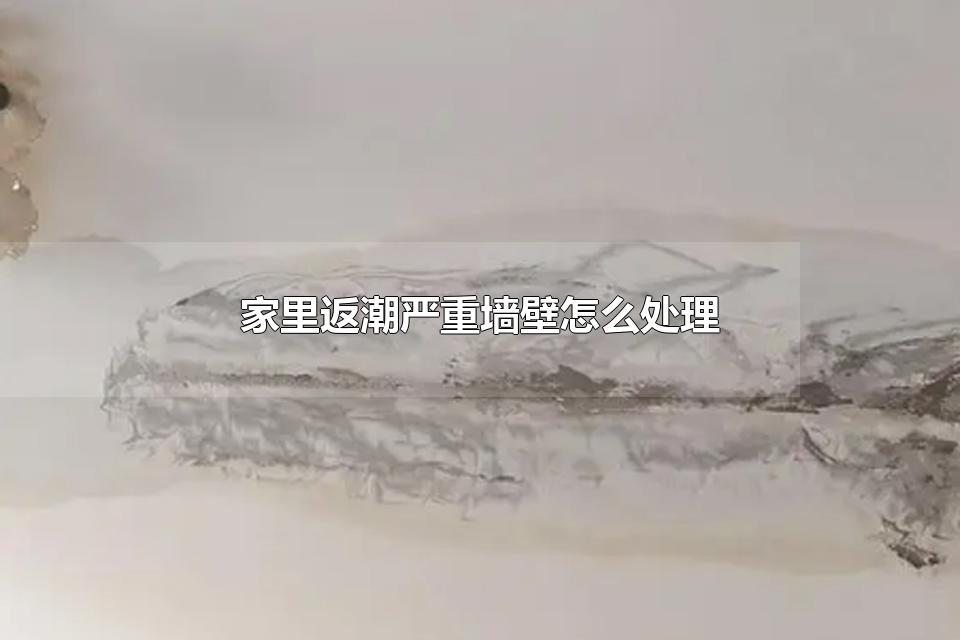 家里返潮严重墙壁怎么处理 墙壁怎么防潮