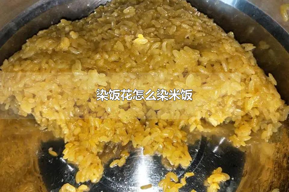 染饭花怎么染米饭 染饭花染米饭要泡多久