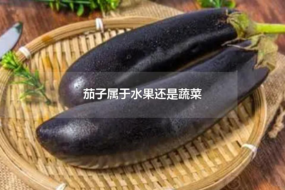 茄子属于水果还是蔬菜 茄子能生吃吗？