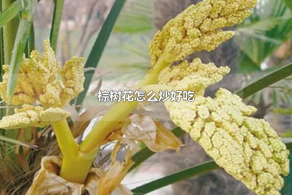 棕树花怎么炒好吃 棕树花是什么味道的