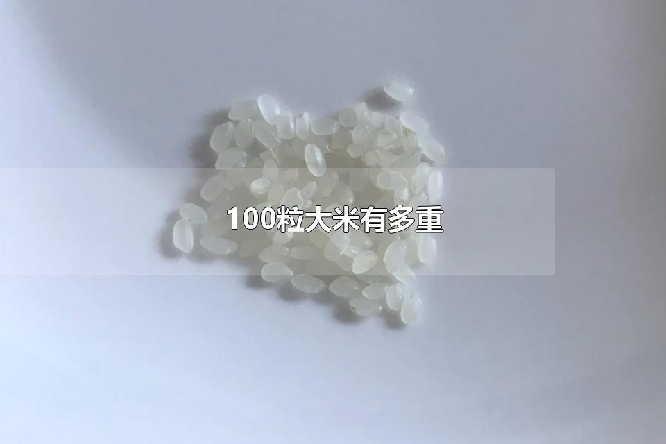 100粒大米有多重 大米的分类