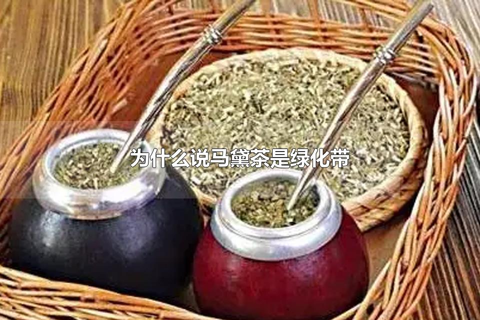 为什么说马黛茶是绿化带 马黛茶和绿化带一样吗