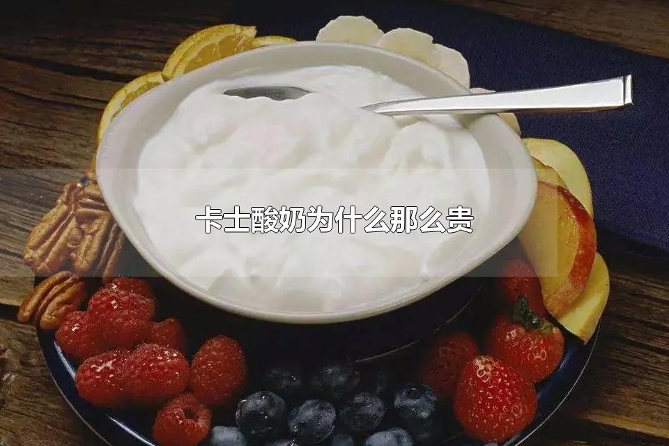 卡士酸奶为什么那么贵 卡士酸奶是哪个国家的