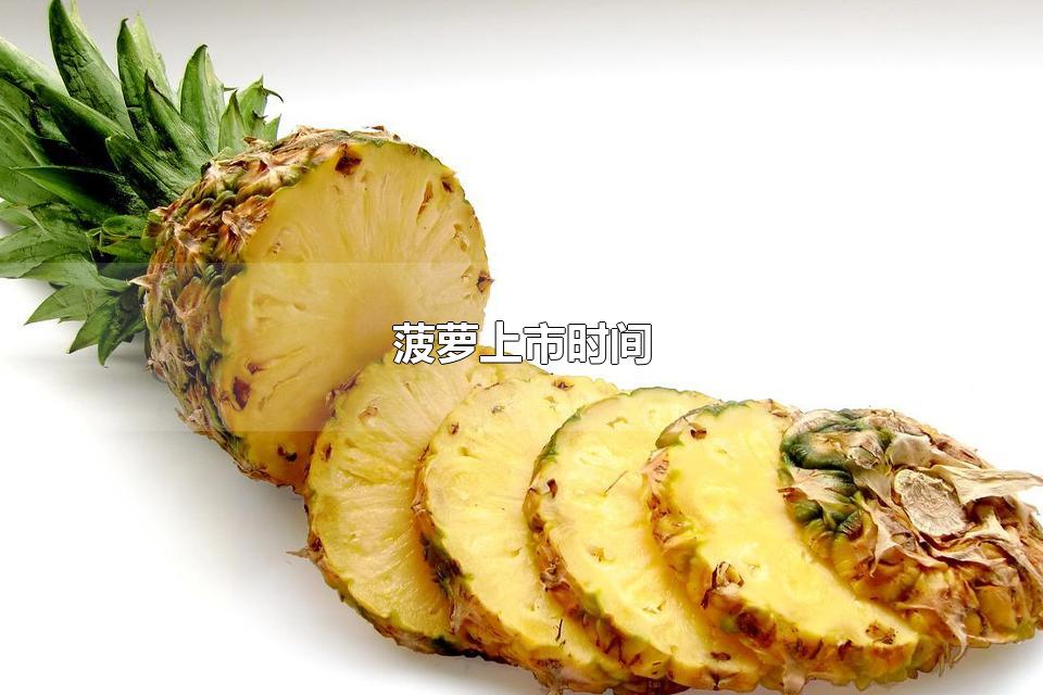 菠萝上市时间 菠萝和凤梨有什么区别