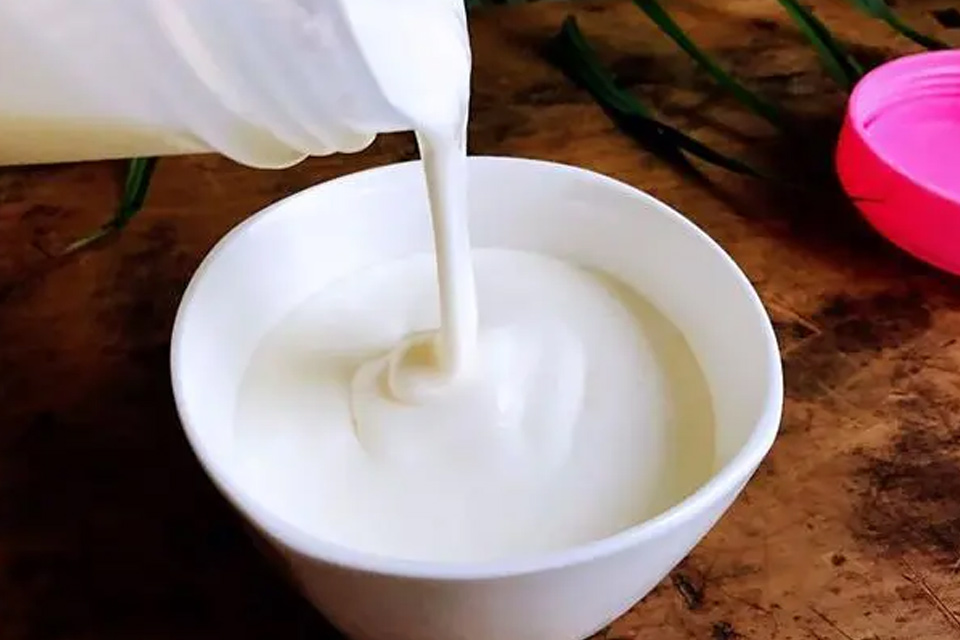 卡士酸奶为什么那么贵 卡士酸奶是哪个国家的