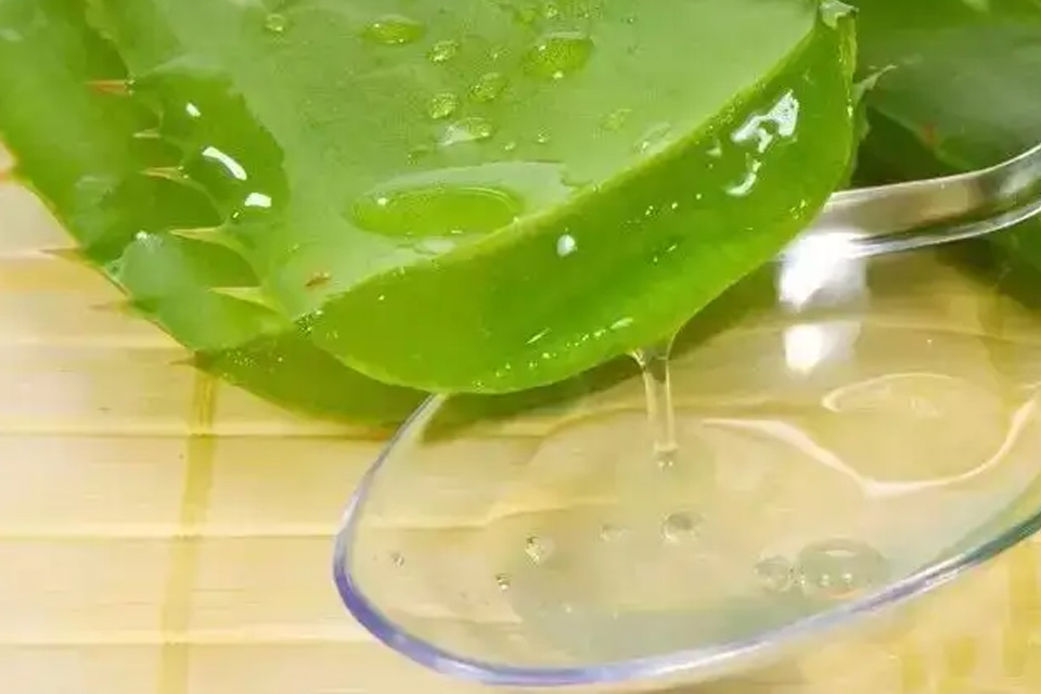 芦荟胶使用后需要洗掉吗 芦荟胶可以每天都用吗
