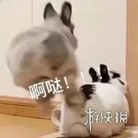 夏季夏至表情包分享 夏季夏至表情包在哪