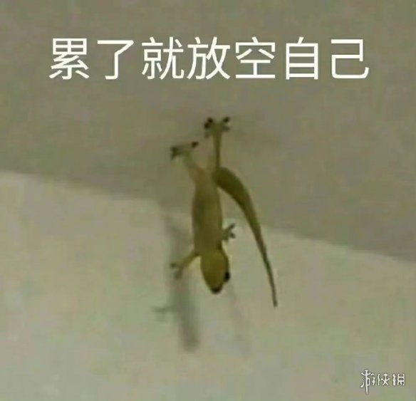 夏季夏至表情包分享 夏季夏至表情包在哪