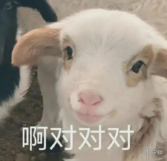 夏季夏至表情包分享 夏季夏至表情包在哪