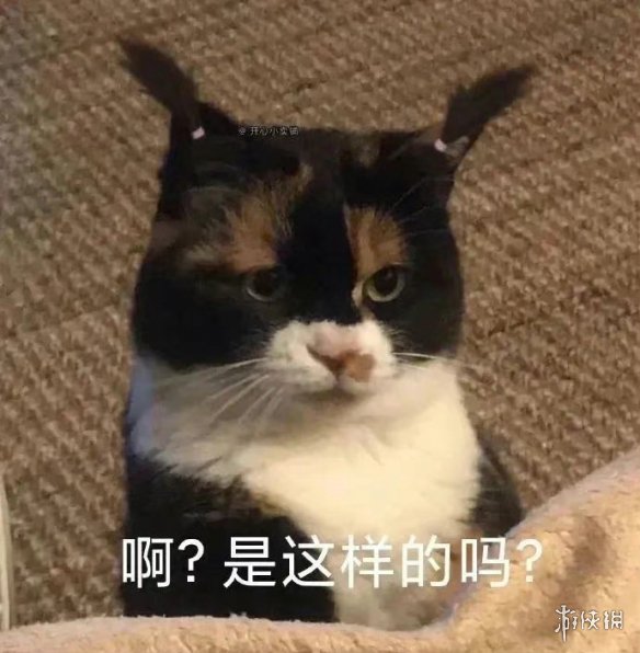 夏季夏至表情包分享 夏季夏至表情包在哪