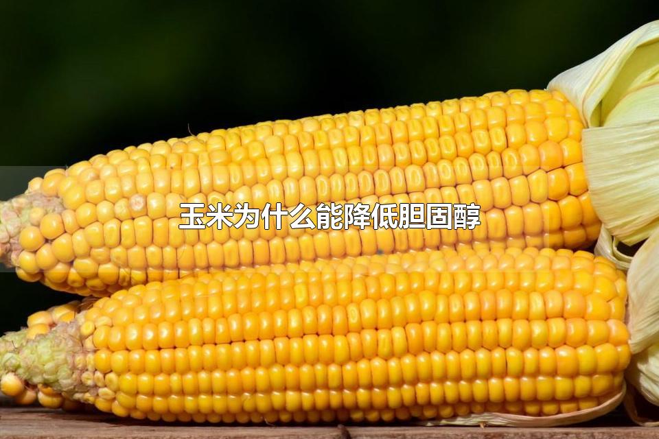 玉米为什么能降低胆固醇 降低胆固醇的好处