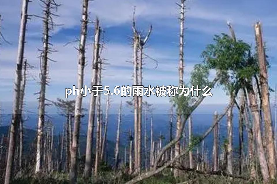 ph小于5.6的雨水被称为什么 防治酸雨的措施
