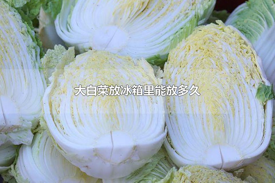 大白菜放冰箱里能放多久 夏天大白菜需要放冰箱里吗