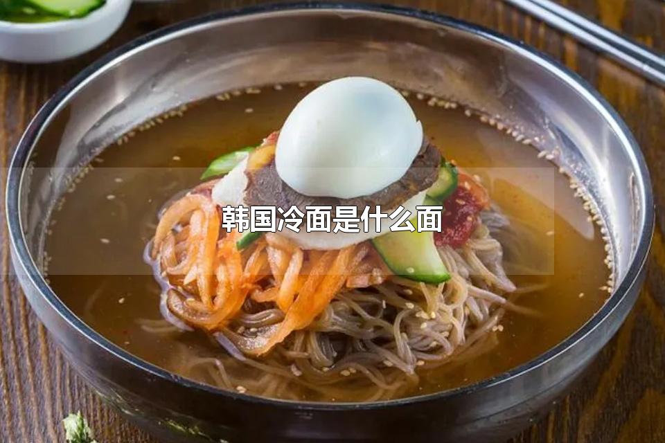 韩国冷面是什么面 减肥可以吃冷面吗