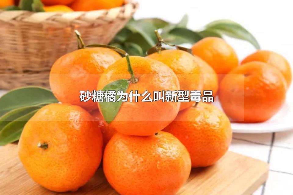 砂糖橘为什么叫新型毒品 砂糖橘是沙糖桔吗